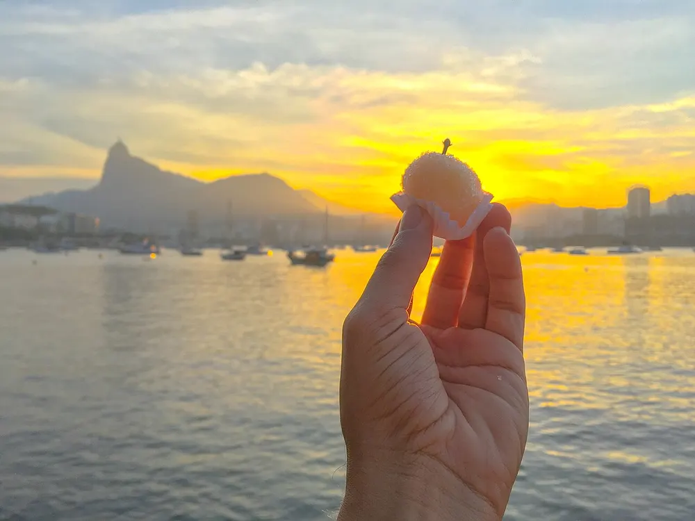 Beijinho — Brazilian coconut fudge ball rolled and topped with a clove