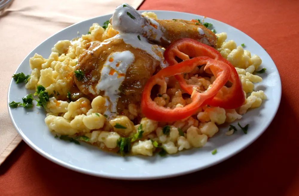 Csirkepaprikás on a bed of nokedli with sour cream and a ring of red pepper