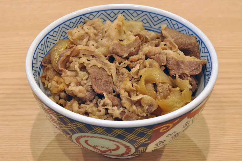 A bowl of gyudon — simmered beef over rice