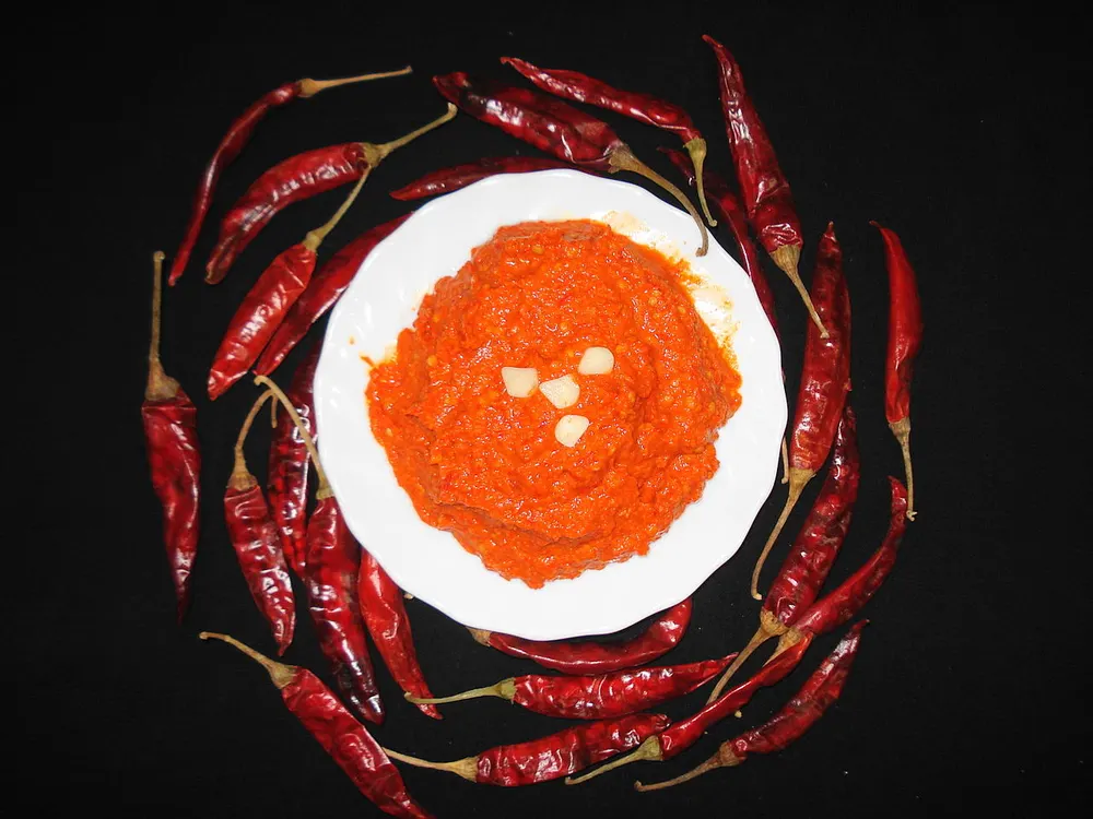 Harissa — the Tunisian red chilli paste, ringed by the dried peppers it is made from