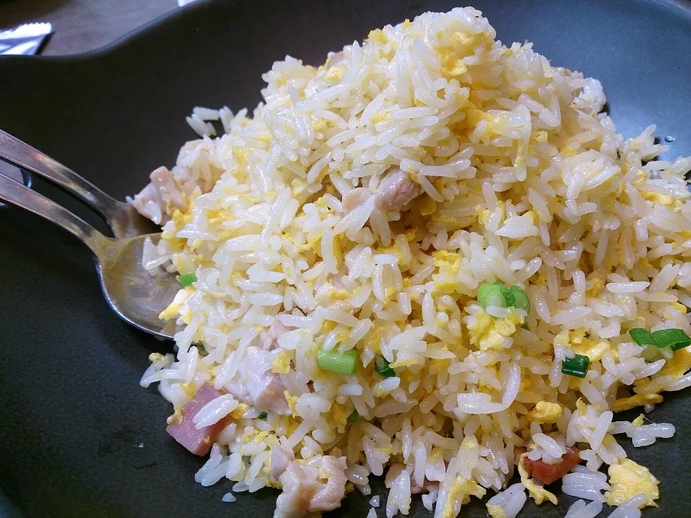 A plate of egg fried rice flecked with scallion