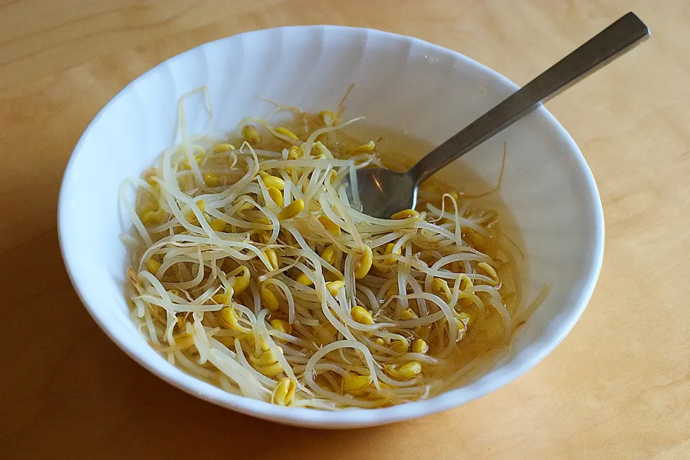 A white bowl of clear kongnamul-guk, bean sprouts in a pale broth